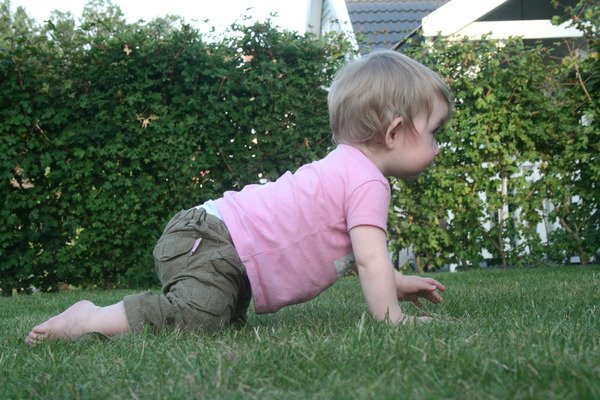 Lopen zonder handjes wil nog niet, dus voorlopig kruipt Alma nog