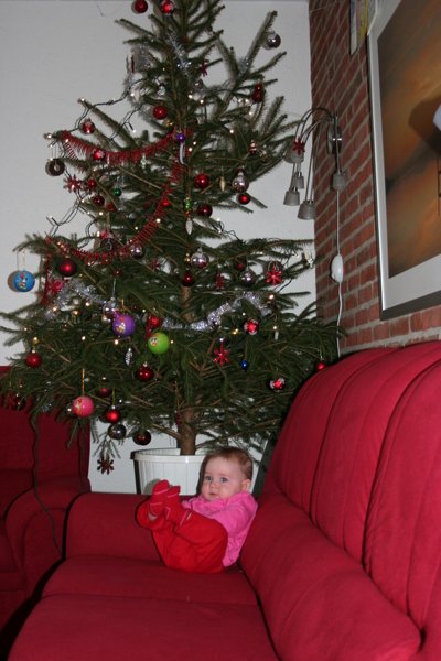 Thuis onder de kerstboom